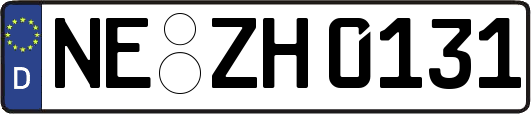 NE-ZH0131