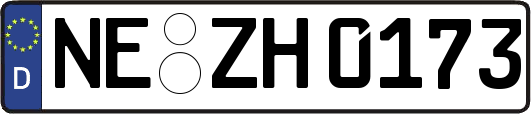 NE-ZH0173