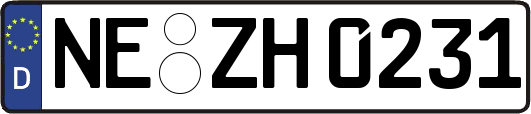 NE-ZH0231