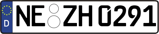 NE-ZH0291