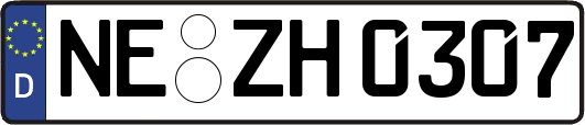 NE-ZH0307