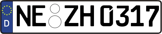 NE-ZH0317