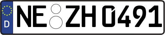 NE-ZH0491