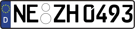 NE-ZH0493