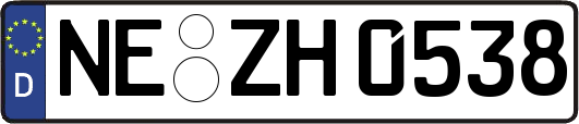NE-ZH0538