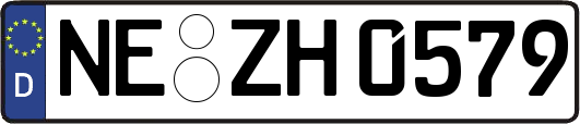 NE-ZH0579