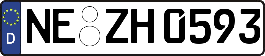 NE-ZH0593