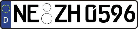 NE-ZH0596