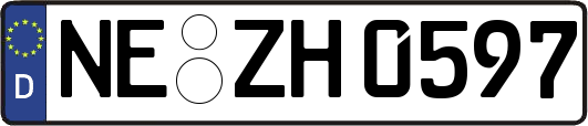 NE-ZH0597