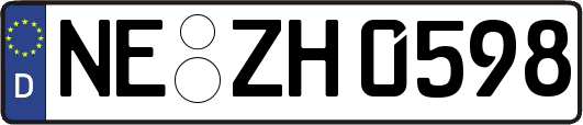NE-ZH0598