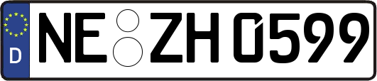 NE-ZH0599