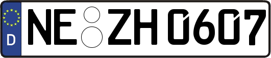 NE-ZH0607