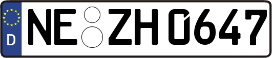 NE-ZH0647