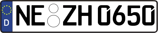 NE-ZH0650