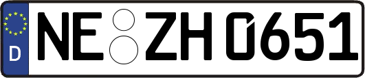 NE-ZH0651