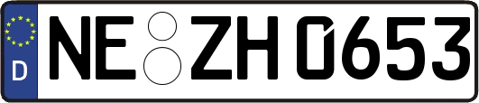 NE-ZH0653