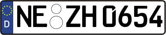 NE-ZH0654