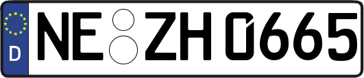 NE-ZH0665