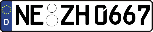 NE-ZH0667