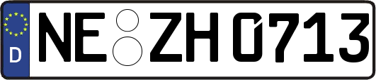 NE-ZH0713