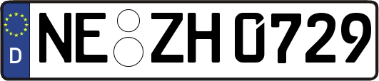 NE-ZH0729