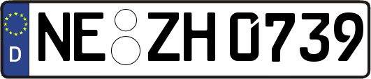 NE-ZH0739