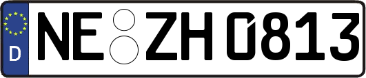 NE-ZH0813