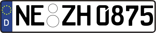 NE-ZH0875