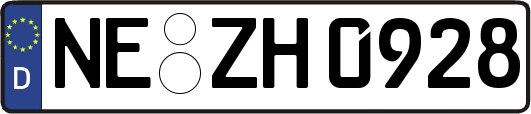 NE-ZH0928