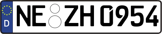 NE-ZH0954