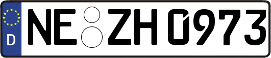 NE-ZH0973
