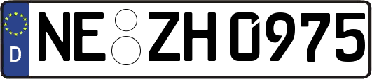 NE-ZH0975