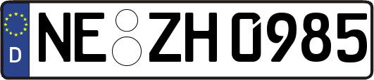 NE-ZH0985