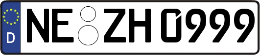 NE-ZH0999
