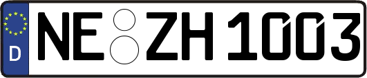 NE-ZH1003