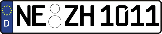 NE-ZH1011