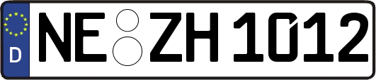 NE-ZH1012
