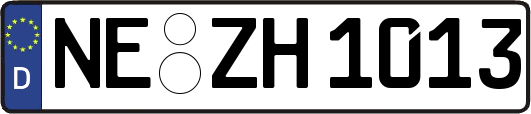 NE-ZH1013