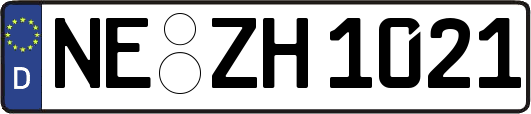NE-ZH1021
