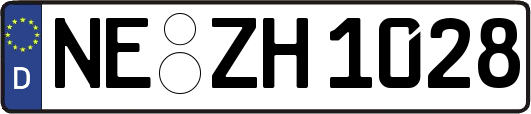 NE-ZH1028