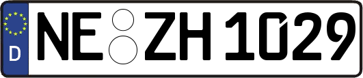 NE-ZH1029