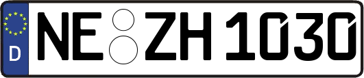 NE-ZH1030