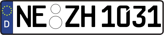 NE-ZH1031