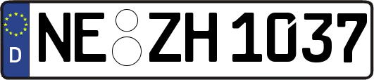 NE-ZH1037