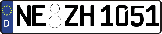 NE-ZH1051