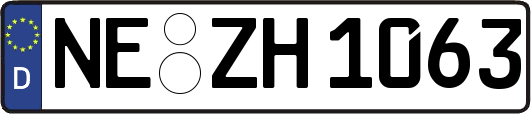 NE-ZH1063