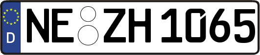 NE-ZH1065