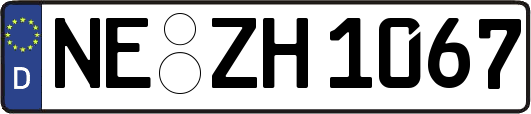 NE-ZH1067