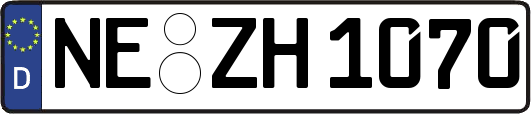 NE-ZH1070
