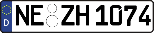 NE-ZH1074